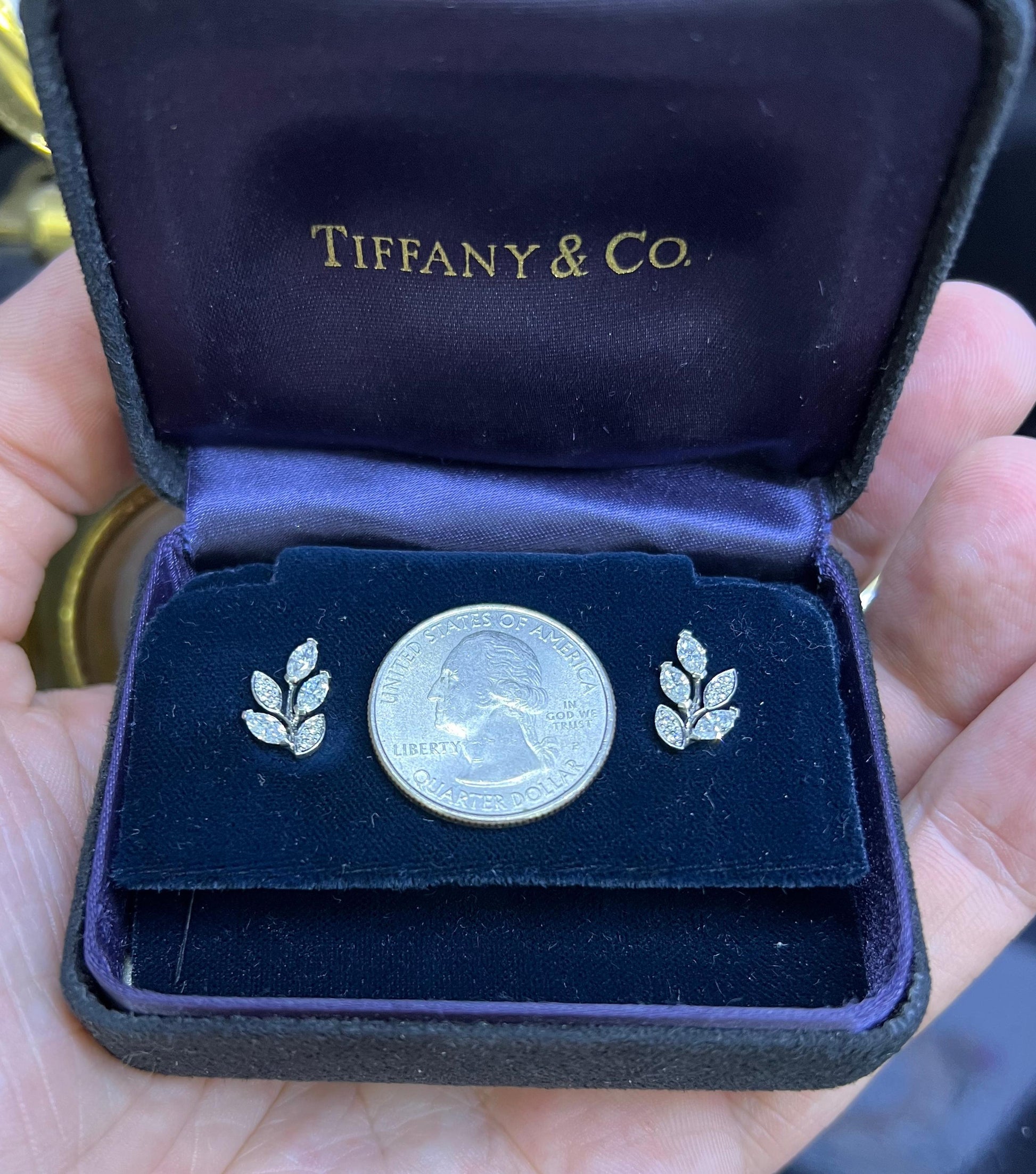 Tiffany & Co. Victoria Diamond Vine Earrings in Platinum Size Small 0.64 Ct.